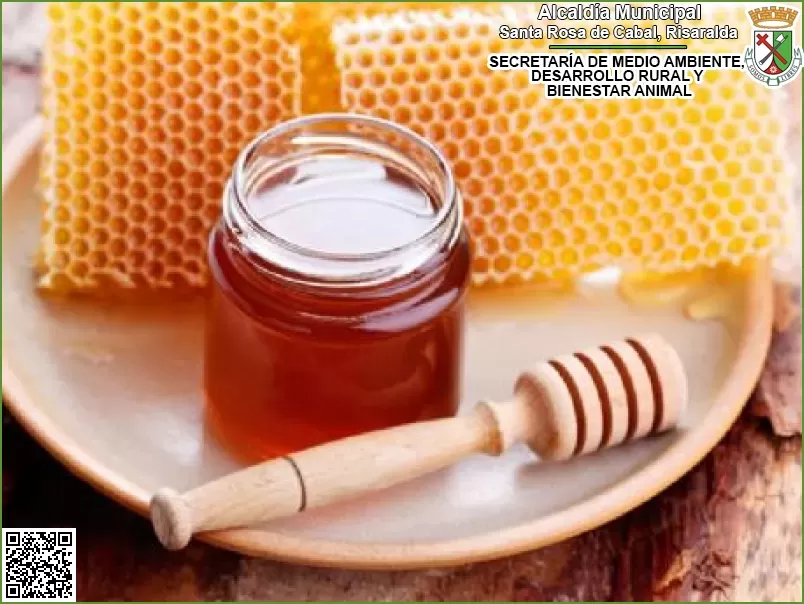 Miel de Abejas