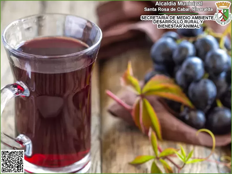 Vino de Uvas Casero